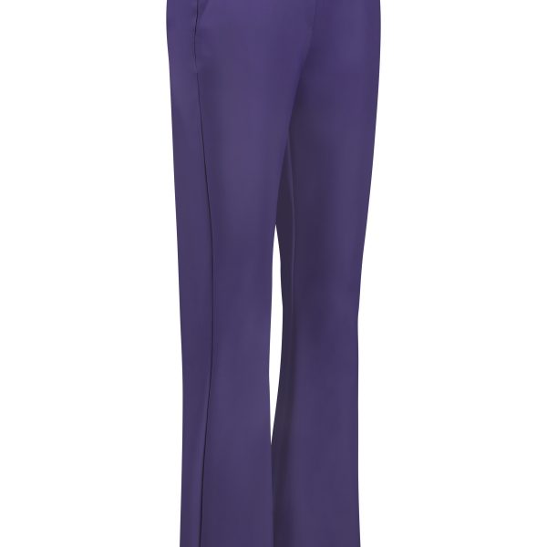 Studio Anneloes ARTIKEL ID: 09262 OMSCHRIJVING: Charlize bonded flair trousers