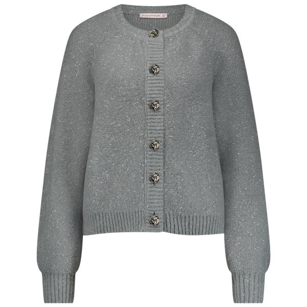 Kaya cardigan light grey studio anneloes