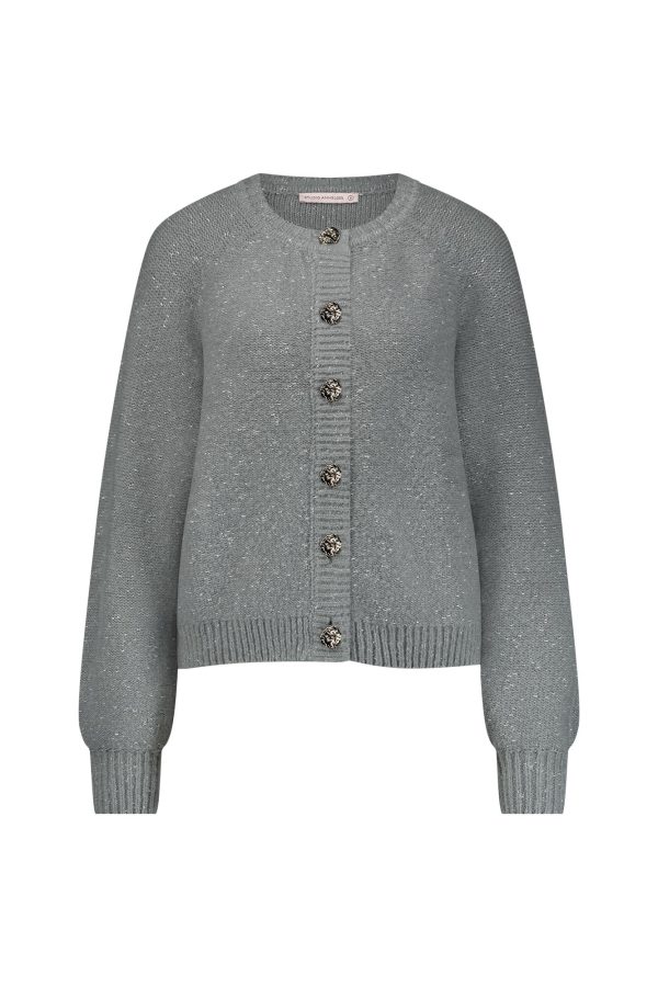 Kaya cardigan light grey studio anneloes