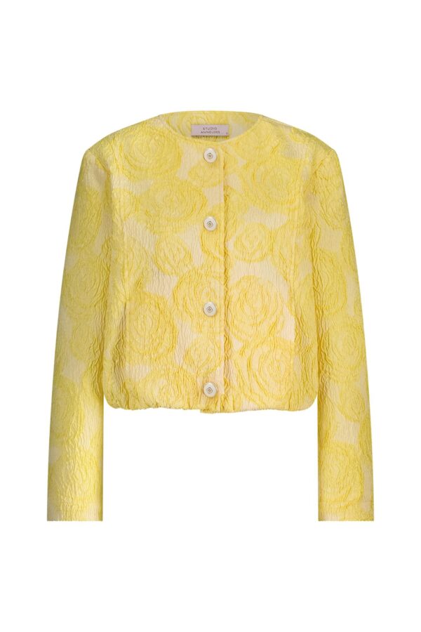 Wies jacquard jacket golden yellow studio anneloes